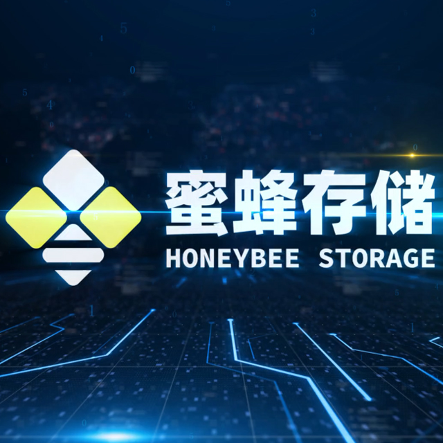 陜西蜜蜂集群數(shù)字科技有限公司網(wǎng)站建設(shè)案例