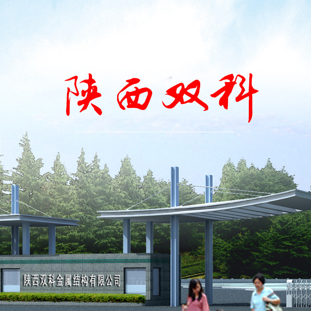陜西雙科金屬結(jié)構(gòu)網(wǎng)站設(shè)計案例